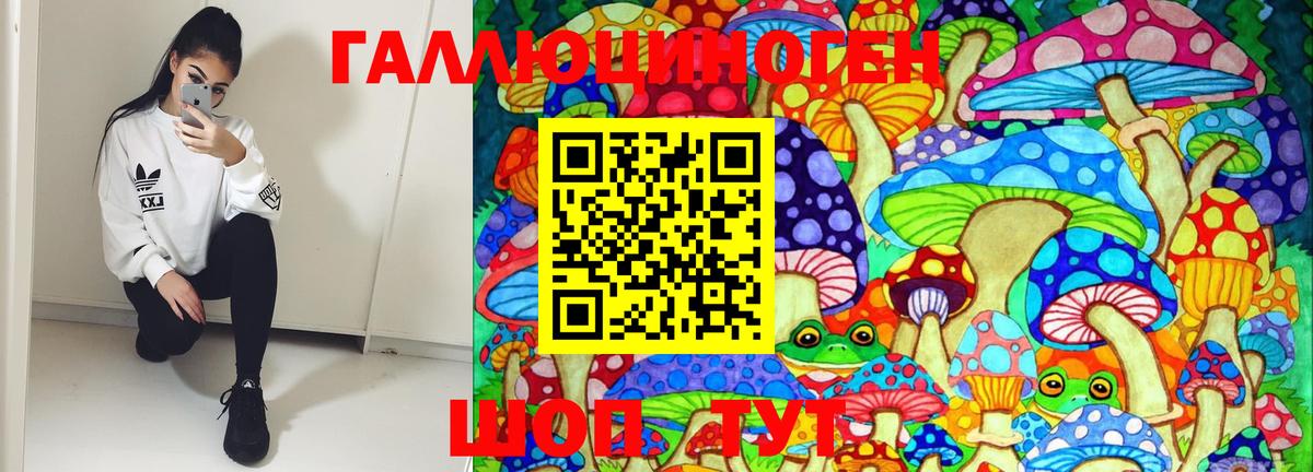 Краснознаменск  Псилоцибиновые грибы Magic Shrooms  Вход с VPN 
