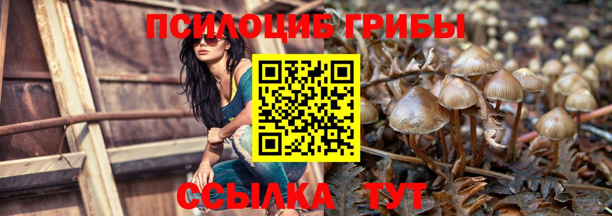 Псилоцибиновые грибы GOLDEN TEACHER Краснознаменск
